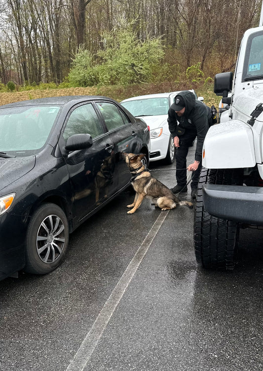 Odor Theory Workshop (2 Days)